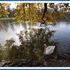 Franzi vom Pagodensee