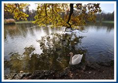 Franzi vom Pagodensee