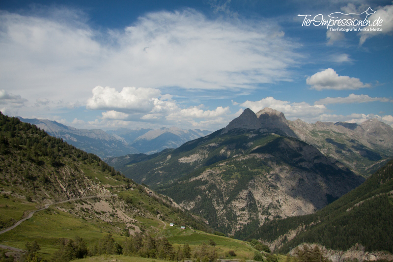 Französische Alpen