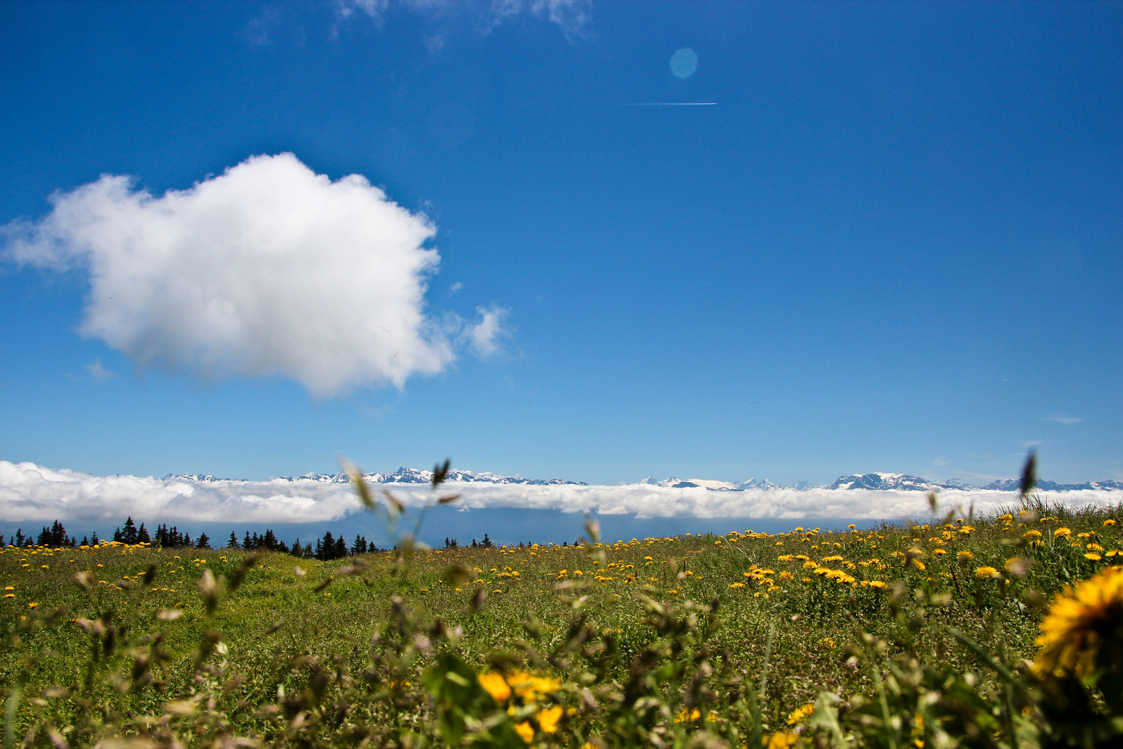 Französische Alpen im Mai