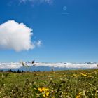 Französische Alpen im Mai