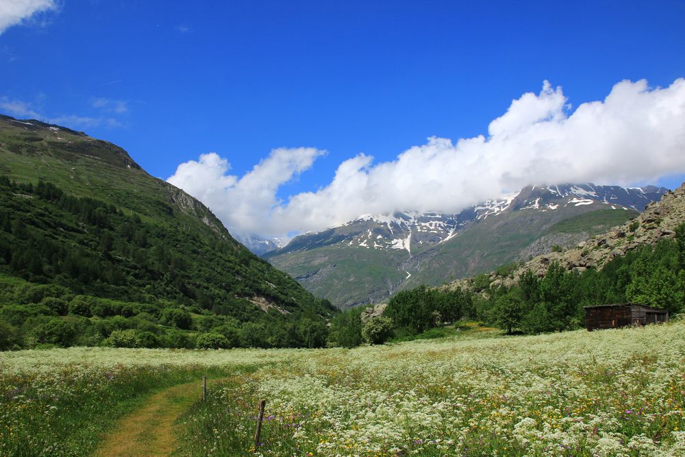 Französische Alpen zwischen Bonneval und L'Ecot