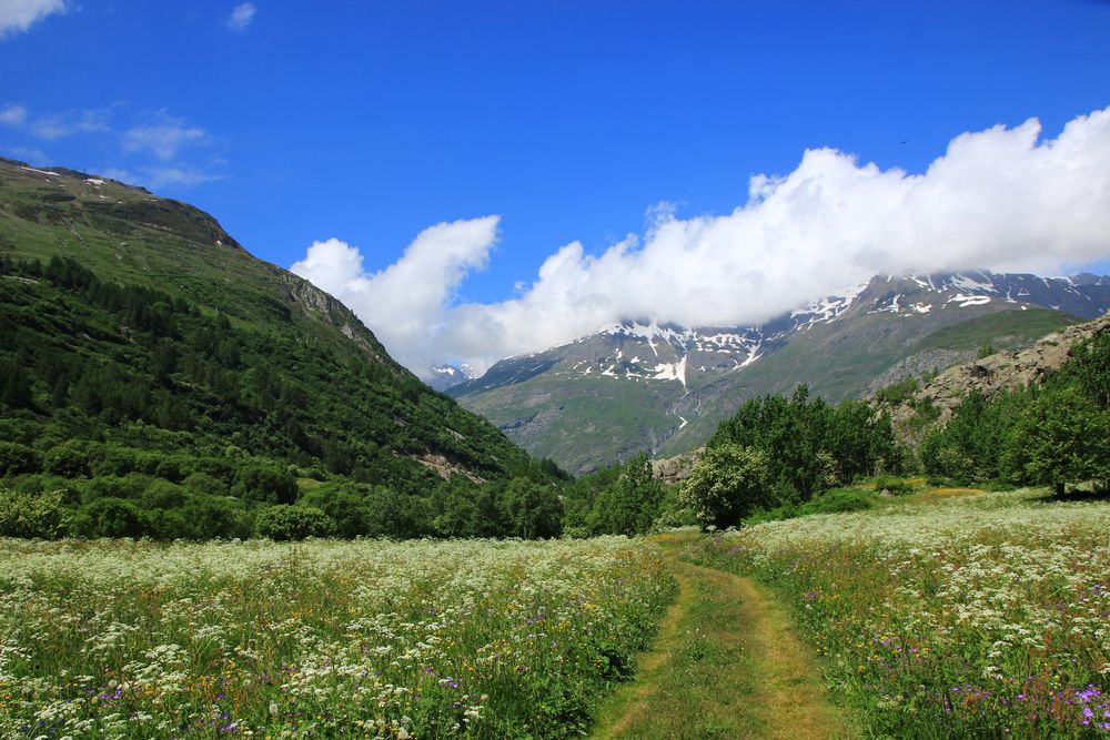 Französische Alpen zwischen Bonneval und L'Ecot