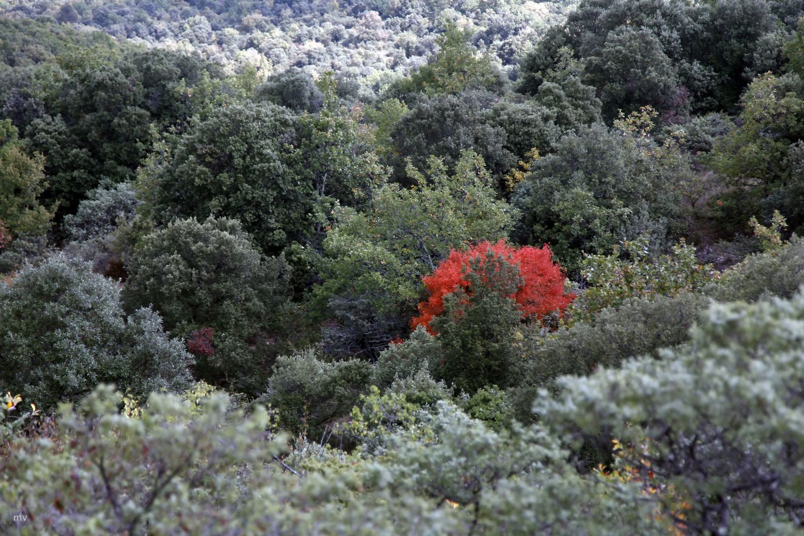 französische Herbstfarben