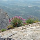 Französische Pyreneen