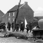 Französische Soldaten auf dem Weg in die Gefangenschaft