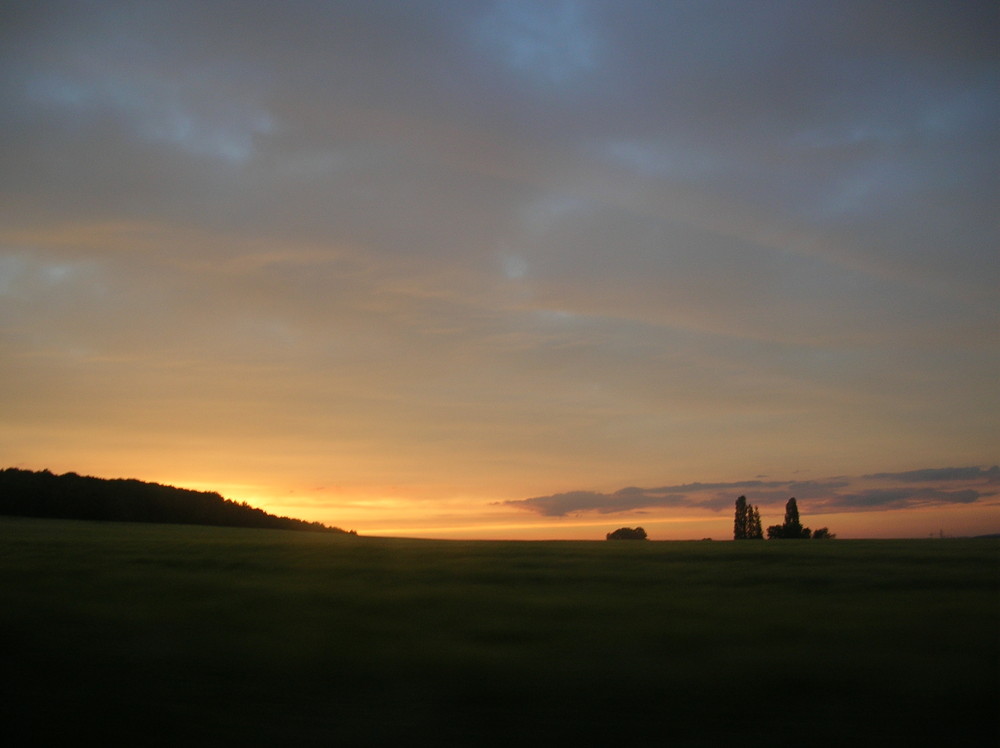 französische Sonne