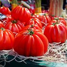 französische Tomaten