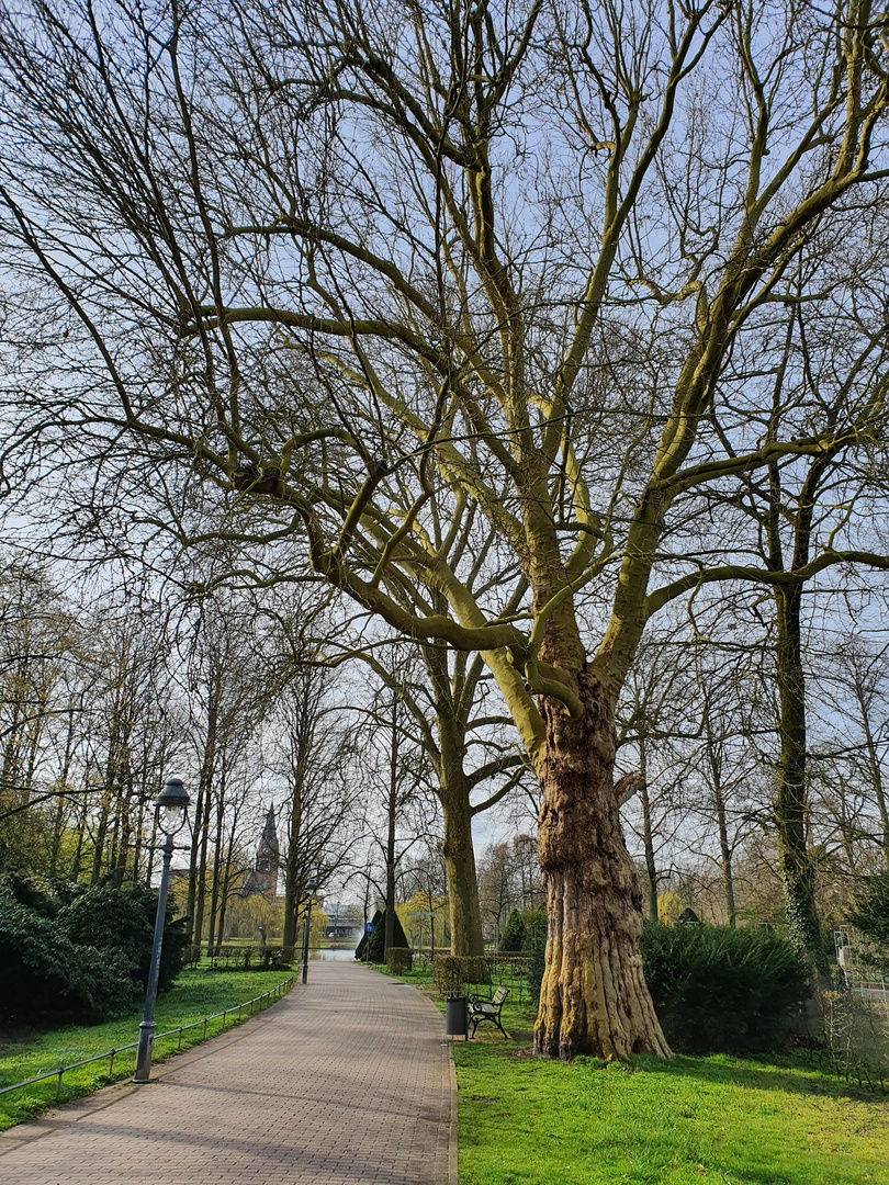 Französischer Garten Celle