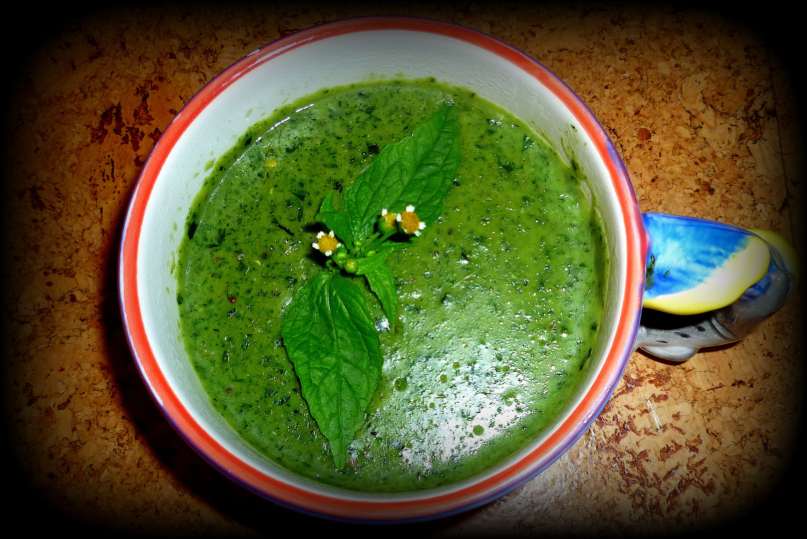 Franzosenkrautsuppe - Galinsoga soup - Sopa de Galinsoga - Soupe de Galinsoga