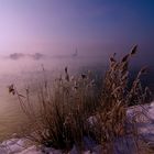 FRANZ_SCHAUMÜLLER-WINTER  AN  DER  DONAU.2.