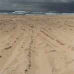 Fraser Island