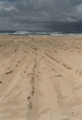 Fraser Island