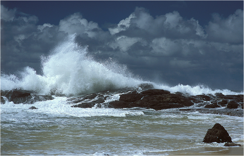 Fraser Island