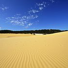 Fraser Island Dunes