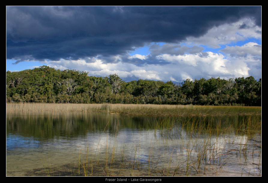 Fraser Island - East Coast Australia