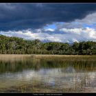 Fraser Island - East Coast Australia