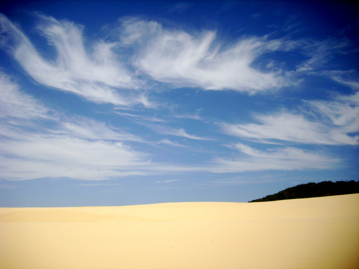 Fraser Island II