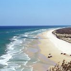 Fraser Island - Indian Head