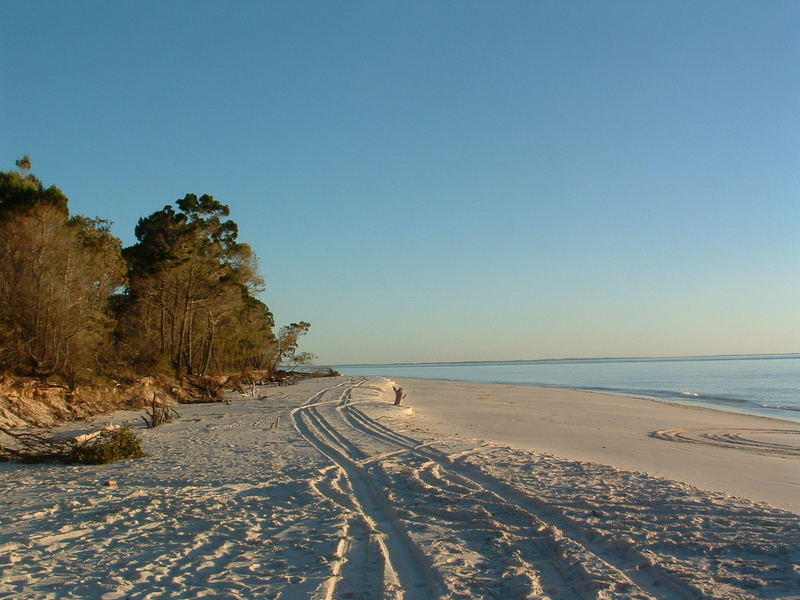 Fraser Island - Ostküste Australien
