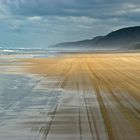 Fraser Island "Spuren im Sand"