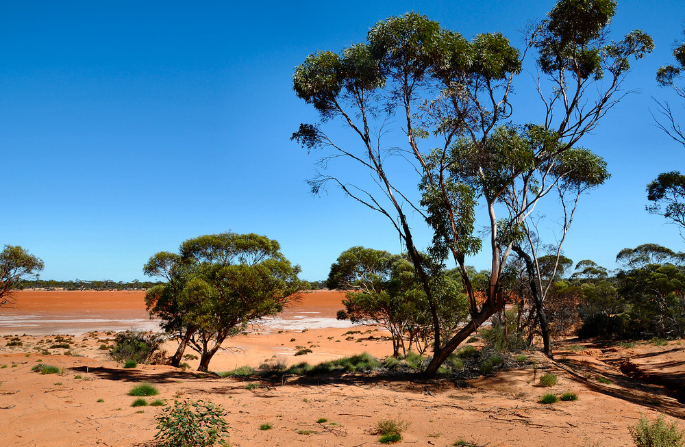 Fraser Range