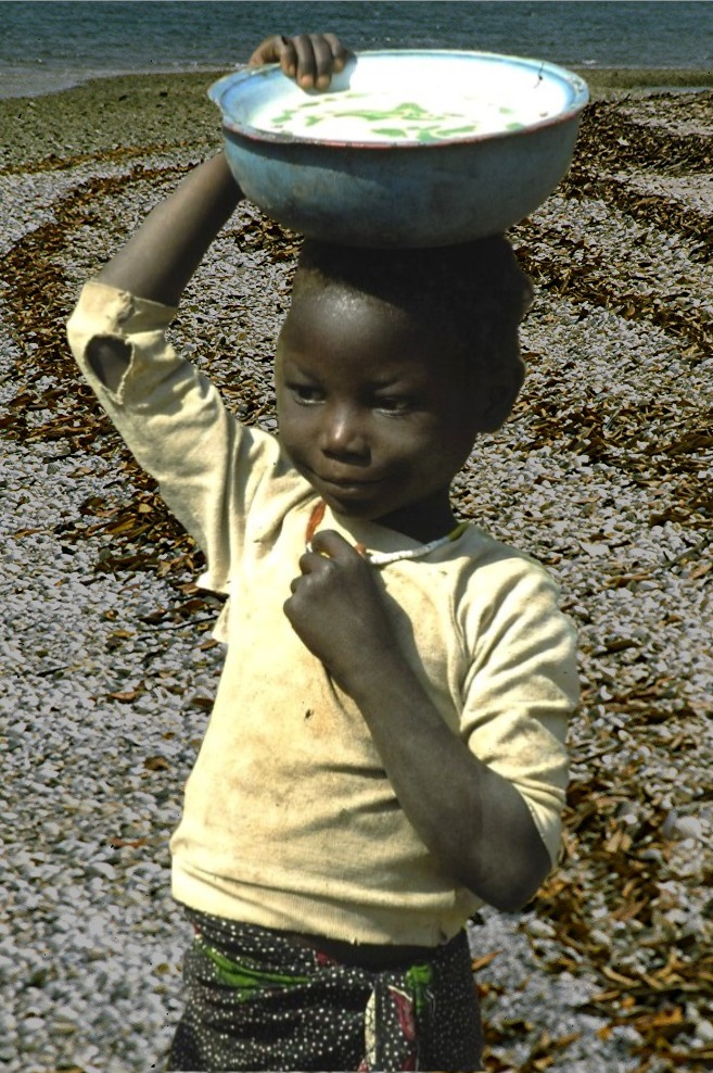 FRATRIE SENEGALAISE Le ramasseur de coquillages