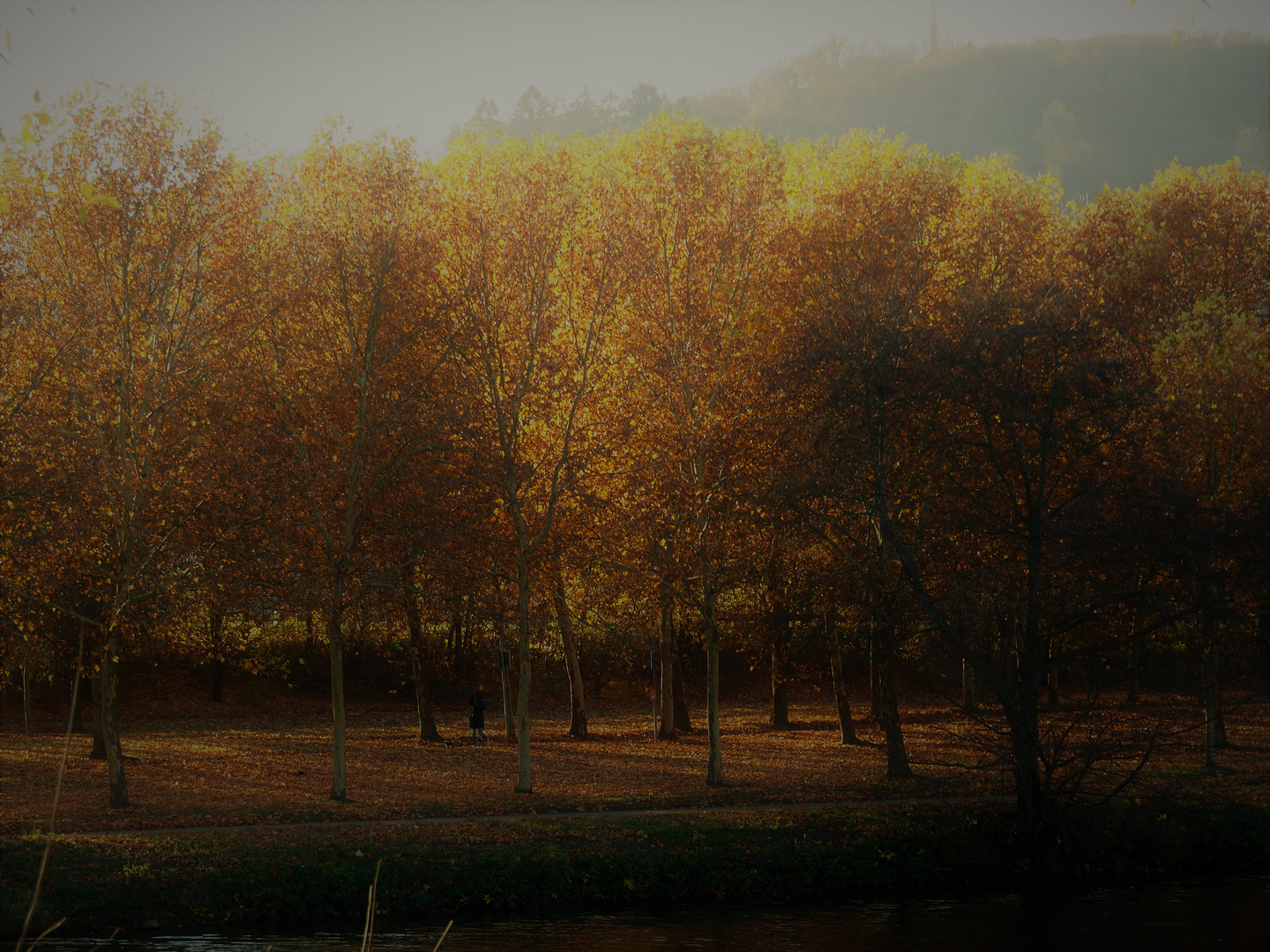 Frau an Flusslandschaft