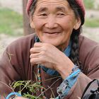 Frau aus Miru, Ladakh