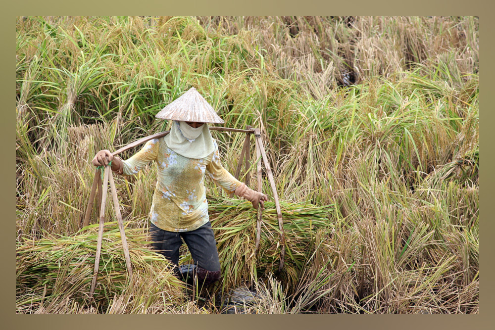 Frauen suchen männer in vietnam
