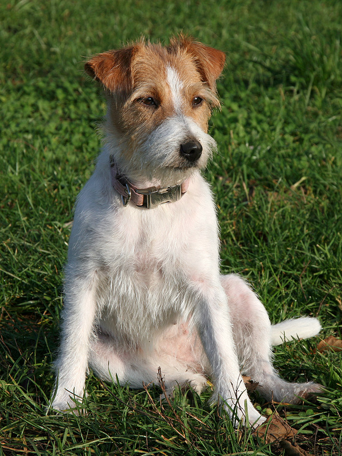 Frau Bruni ( relaxed )