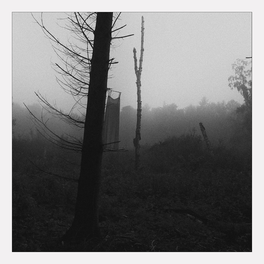 Frau C. stand im Nebel