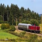 Frau Einhundert im Hochschwarzwald