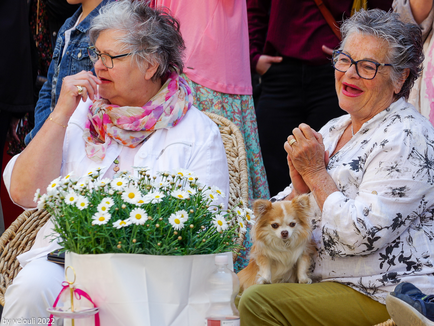 Frau (en) und Hund 54