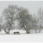 Frau Holle deckt den Frühling zu - schneetreiben am 5. März