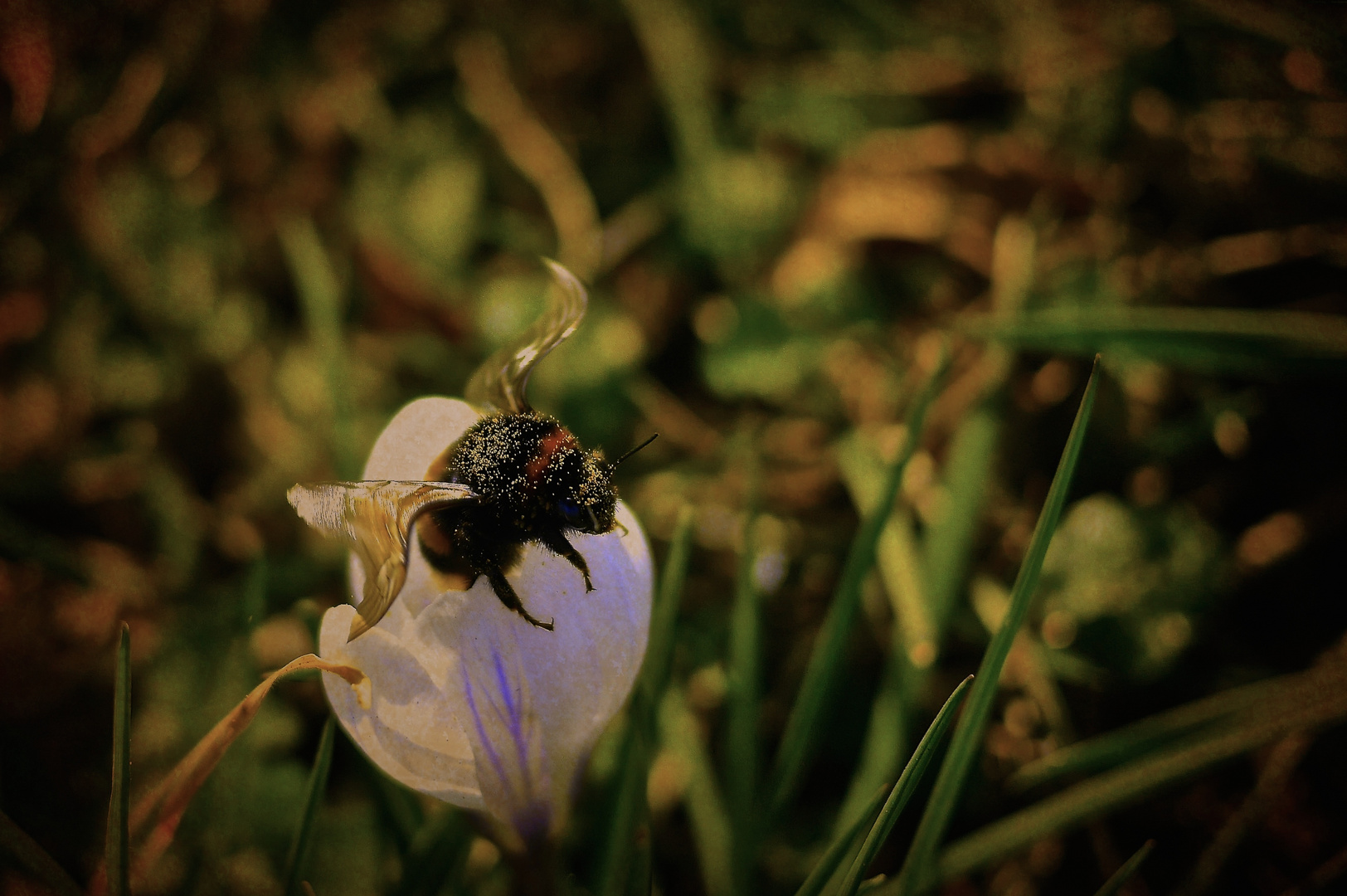 Frau Hummel...