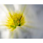 Frau im Arme eines Mannes mit Blumenstrauß