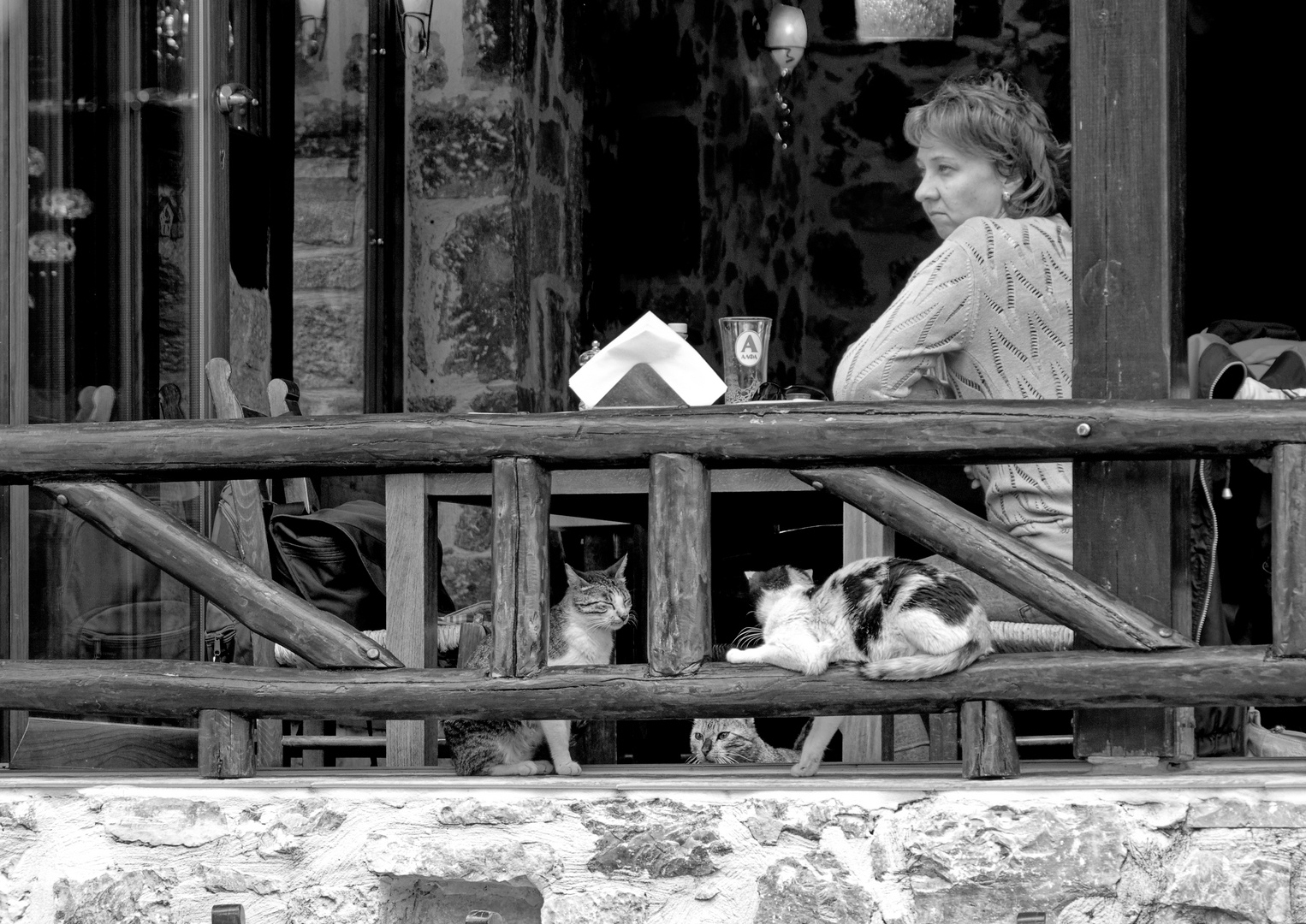 frau im Café in katzenbegleitung