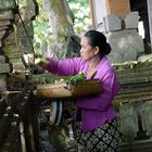 Frau im Tempel (Ubud, Bali)