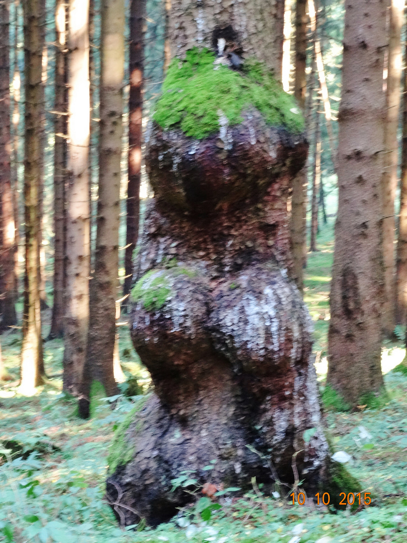 Frau im Wald