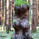 Frau im Wald