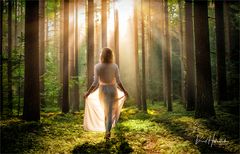 Frau im Wald ..... oder im Gegenlicht