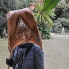 User Profile Photo