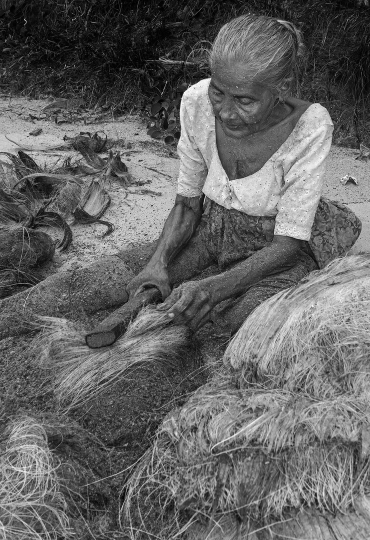 Frau klopft Kokosfasern am Strand von Talala (Sri Lanka)