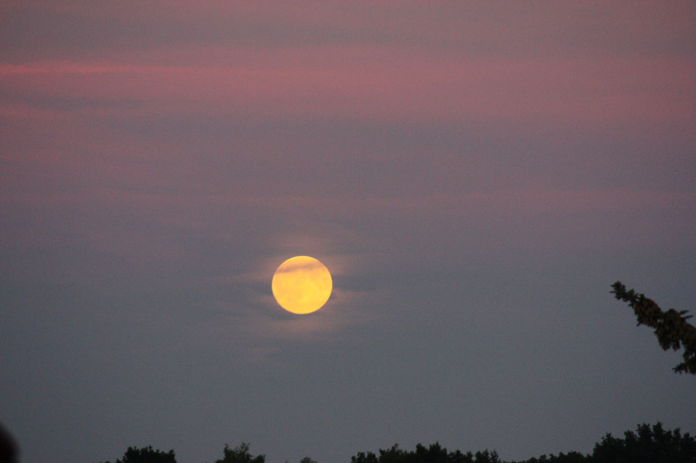 Frau Luna im Abendrot