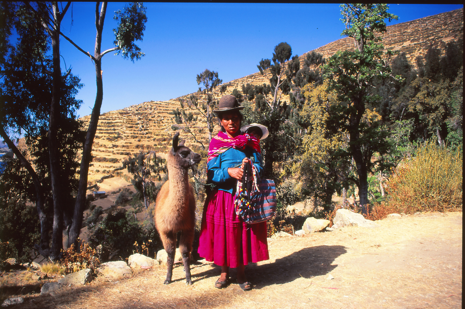 Frau mit Alpaka auf der »Sonneninsel« im bolivianischen Teil des Titicaca-Sees