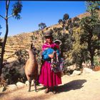 Frau mit Alpaka auf der »Sonneninsel« im bolivianischen Teil des Titicaca-Sees