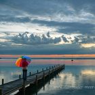 Frau mit buntem Regenschirm auf Bootssteg am Steinhuder Meer