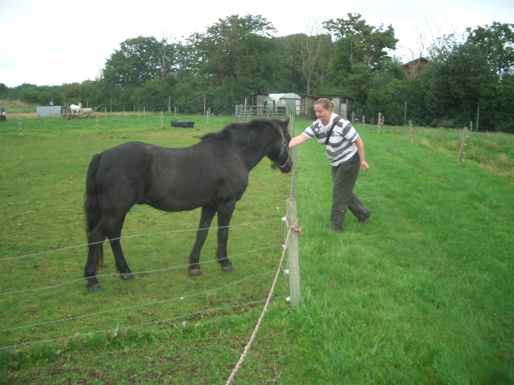 Frau mit Ferd