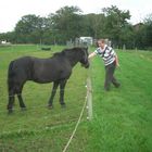 Frau mit Ferd